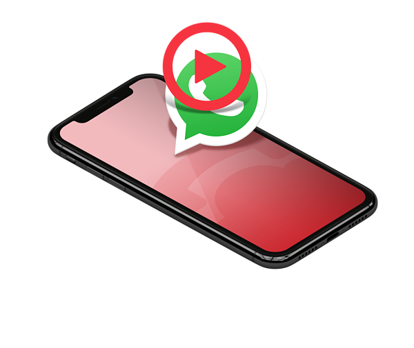 WhatsApp API